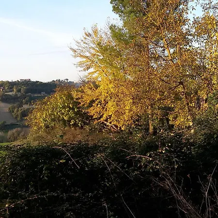 Le Corone *