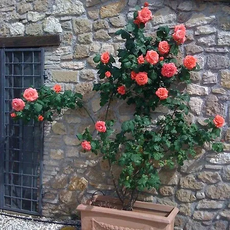 Agroturismo Le Corone Otricoli