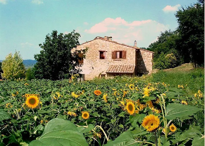 Farm stay Le Corone Otricoli
